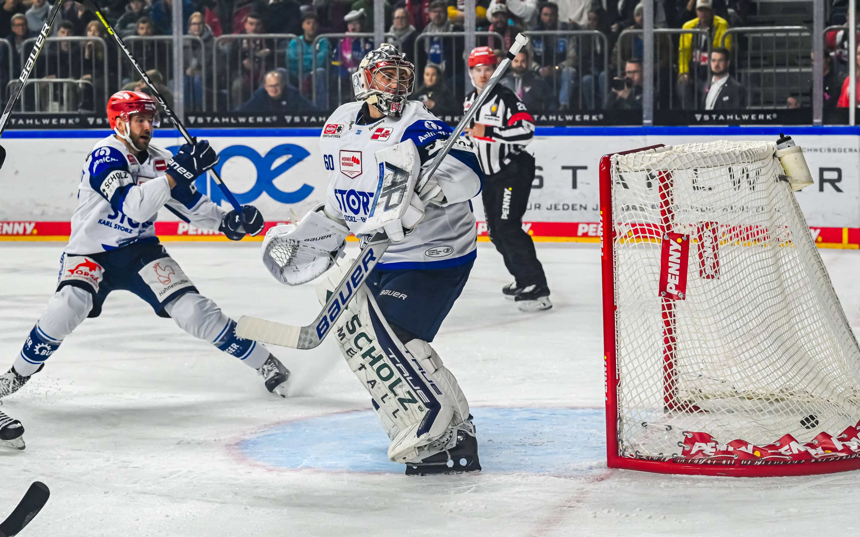 Kölner Haie vs Schwenninger Wild Wings