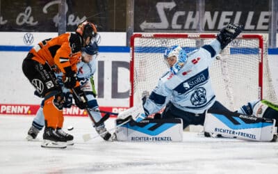 Straubing Tigers verlängern mit drei Spielern