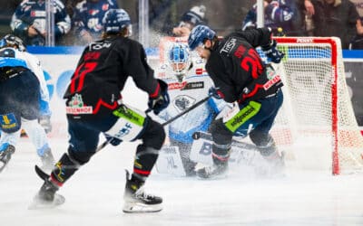 Straubing Tigers müssen gegen starke Ingolstädter Federn lassen