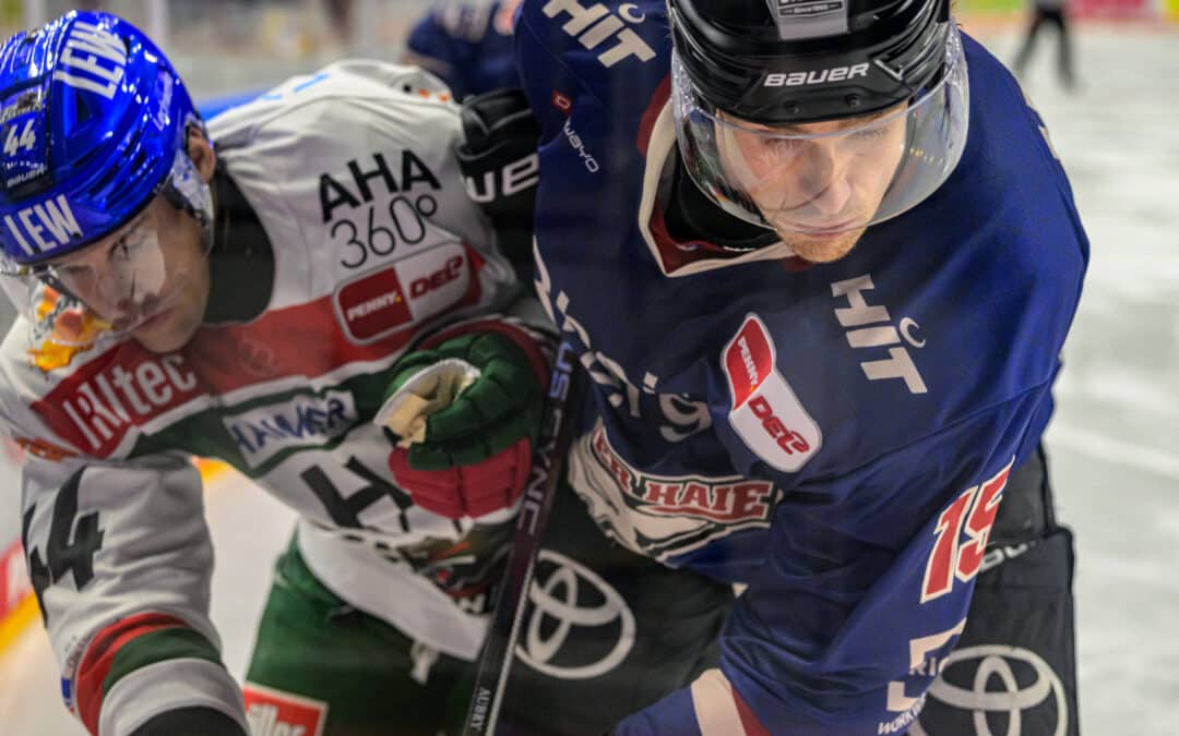 Verdienter Sieg der Kölner Haie über die Augsburger Panther