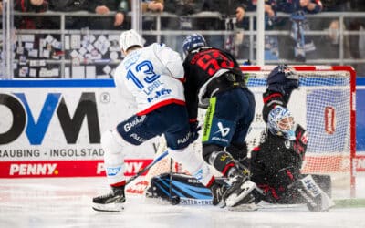 Straubing Tigers drehen Spiel gegen Adler Mannheim