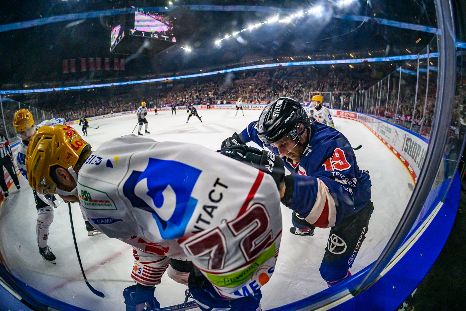 Kölner Haie vs Pinguins Bremerghaven
