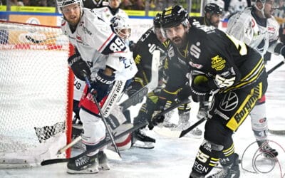Tor Festival der Krefeld Pinguine