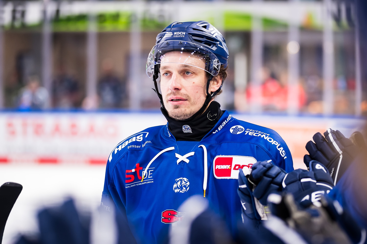 Straubing Tigers gegen Eisbren Berlin – PENNY DEL Viertelfinale