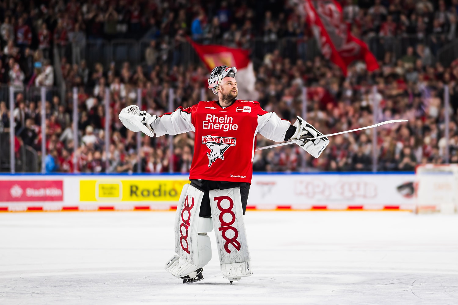 Klner Haie gegen ERC Ingolstadt – PENNY DEL Halbfinale Spiel 2