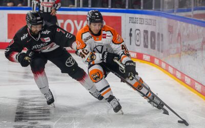 Verdienter Sieg der Kölner Haie über die Grizzlys aus Wolfsburg