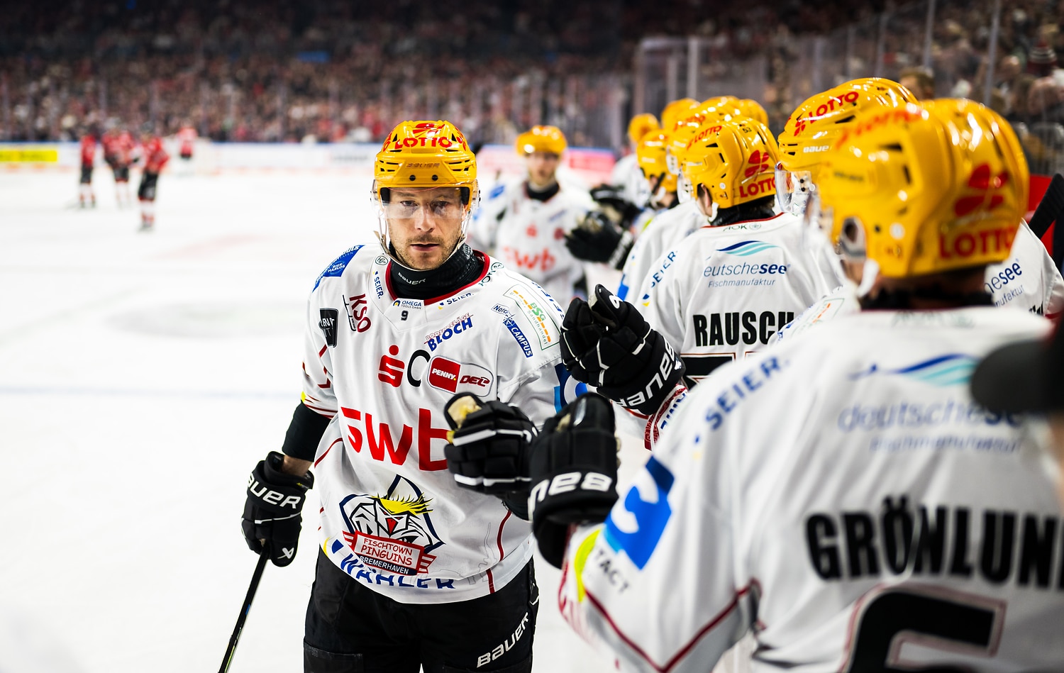 Klner Haie gegen Pinguins Bremerhaven – PENNY DEL Playoffs Viertelfinale