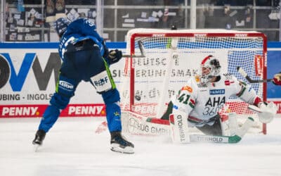 Straubing Tigers gelingt ein knapper Heimsieg gegen die Augsburger Panther