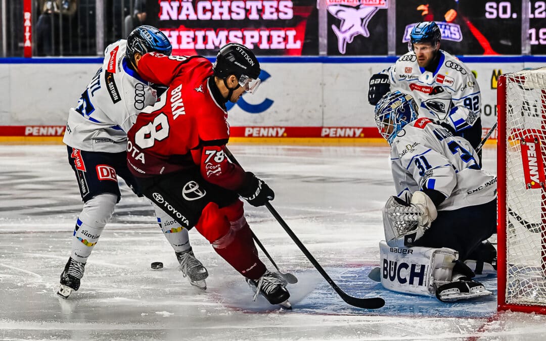 Kölner Haie besiegen starken ERC Ingolstadt mit intensiver Leidenschaft