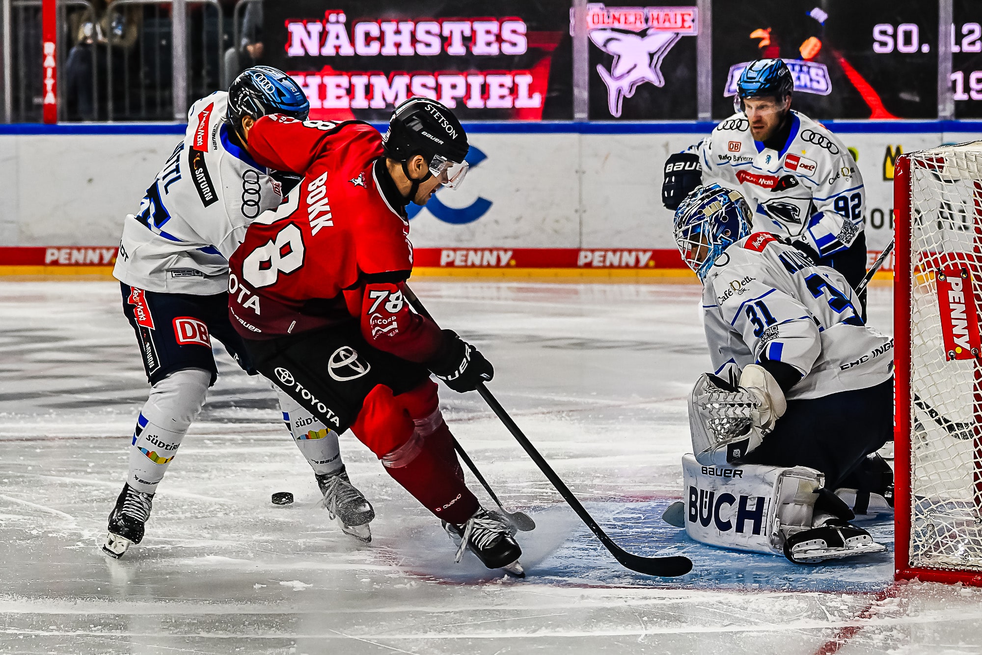 Kölner Haie vs ERC Ingolstadt