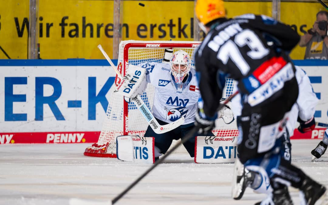 Mannheim gewinnt gegen starkes Bremerhaven