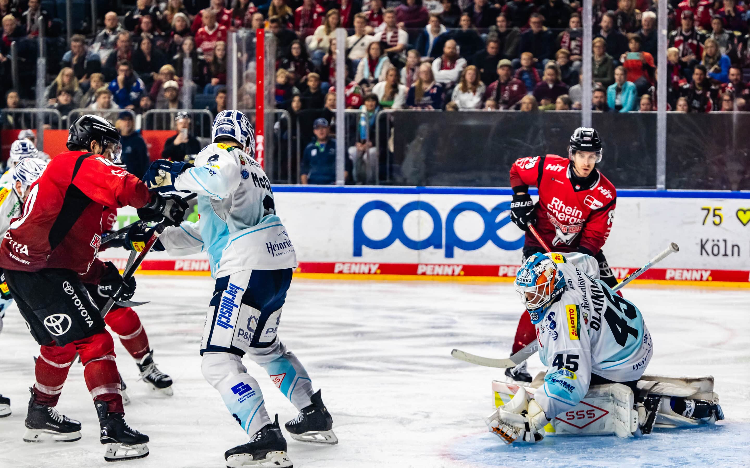 Kölner Haie vs Dresdner Eislöwen