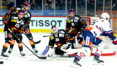 Der SCB verliert gegen starke Lions