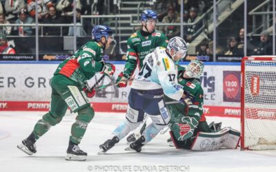 Augsburg unterliegt Tabellenletzten Dresden