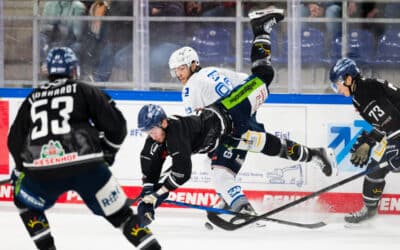 Bruchlandung für Straubing Tigers gegen die Adler Mannheim