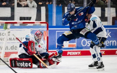 Iserlohn Roosters jubeln an der Donau bei den Straubing Tigers