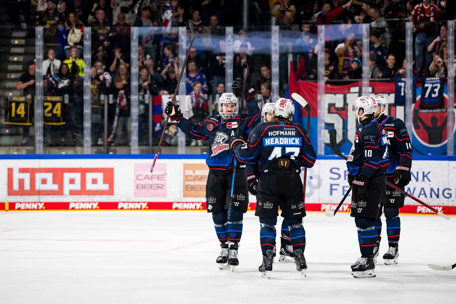 Nürnberg Ice Tigers gegen Dresdner Eislöwen – PENNY DEL