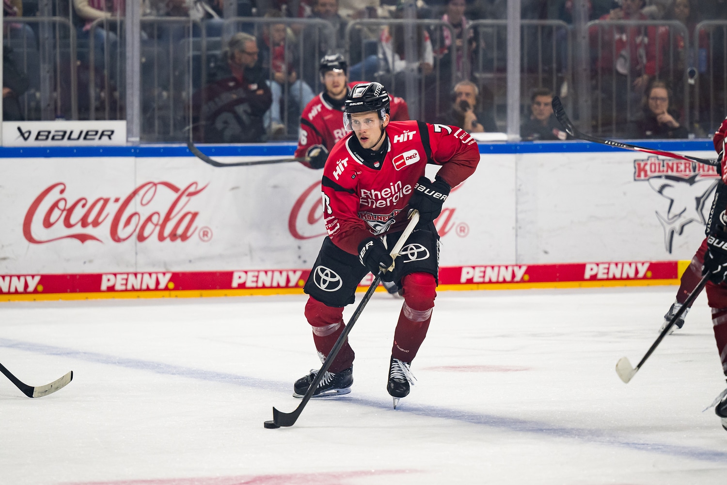 Kölner Haie gegen Red Bull München – PENNY DEL