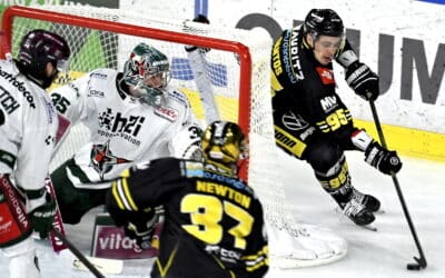 Spannung im Spiel am zweiten Weihnachtstag zwischen Krefeld und Rosenheim