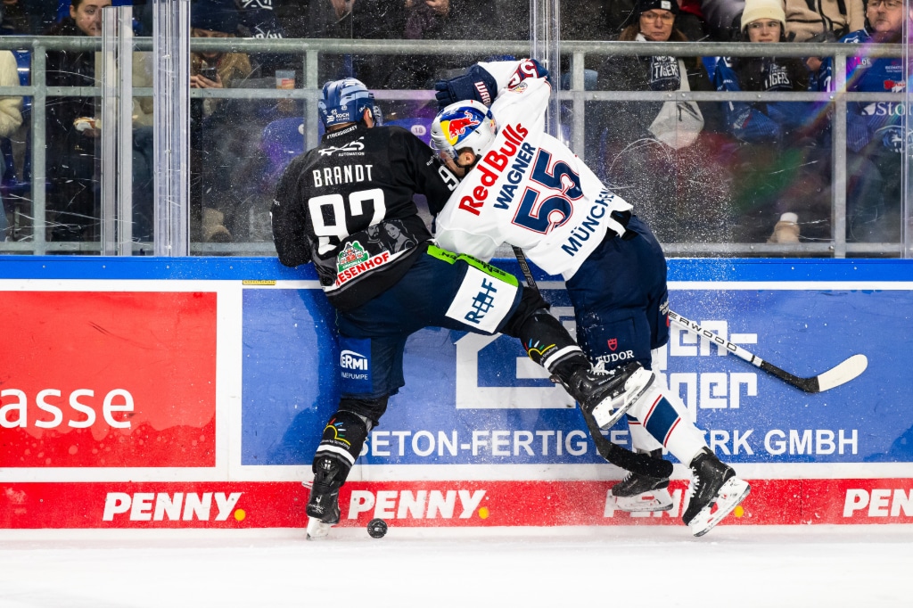 cp-SP38-STR-RBM26-124k