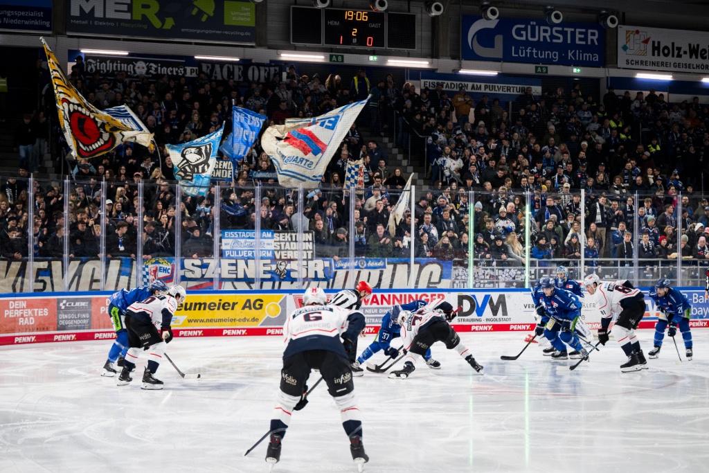 cp-SP44-STR-NIT26-084k