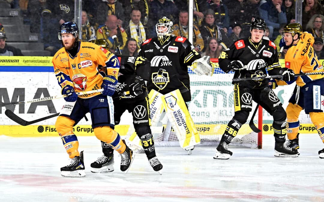 Krefeld lässt gegen Lausitzer Füchse nix anbrennen