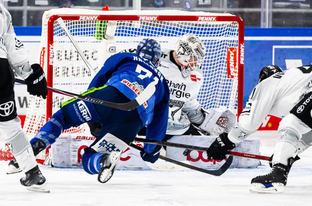 Straubing Tigers unterliegen Tabellenführer Kölner Haie und treffen wieder auf Berlin