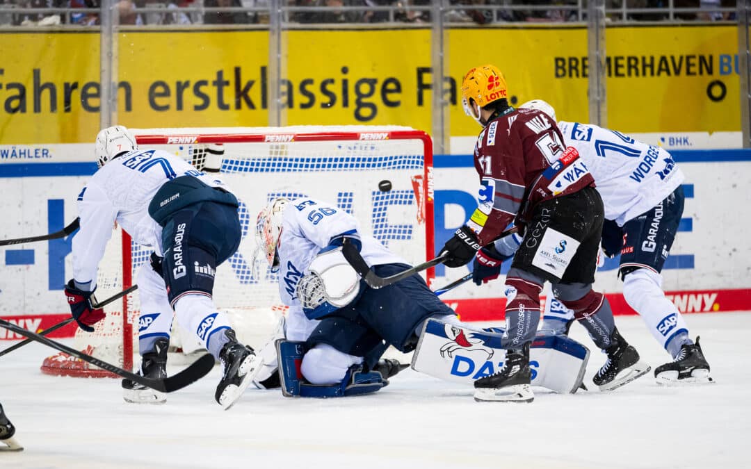 Bremerhaven meldet sich eindrucksvoll zurück in der Serie gegen die Adler Mannheim