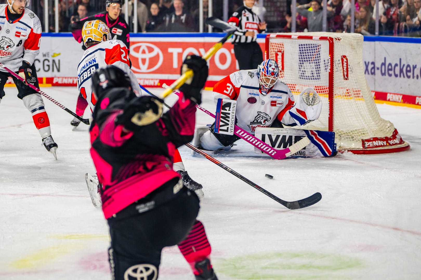 Kölner Haie vs Nürnberg Ice Tigers