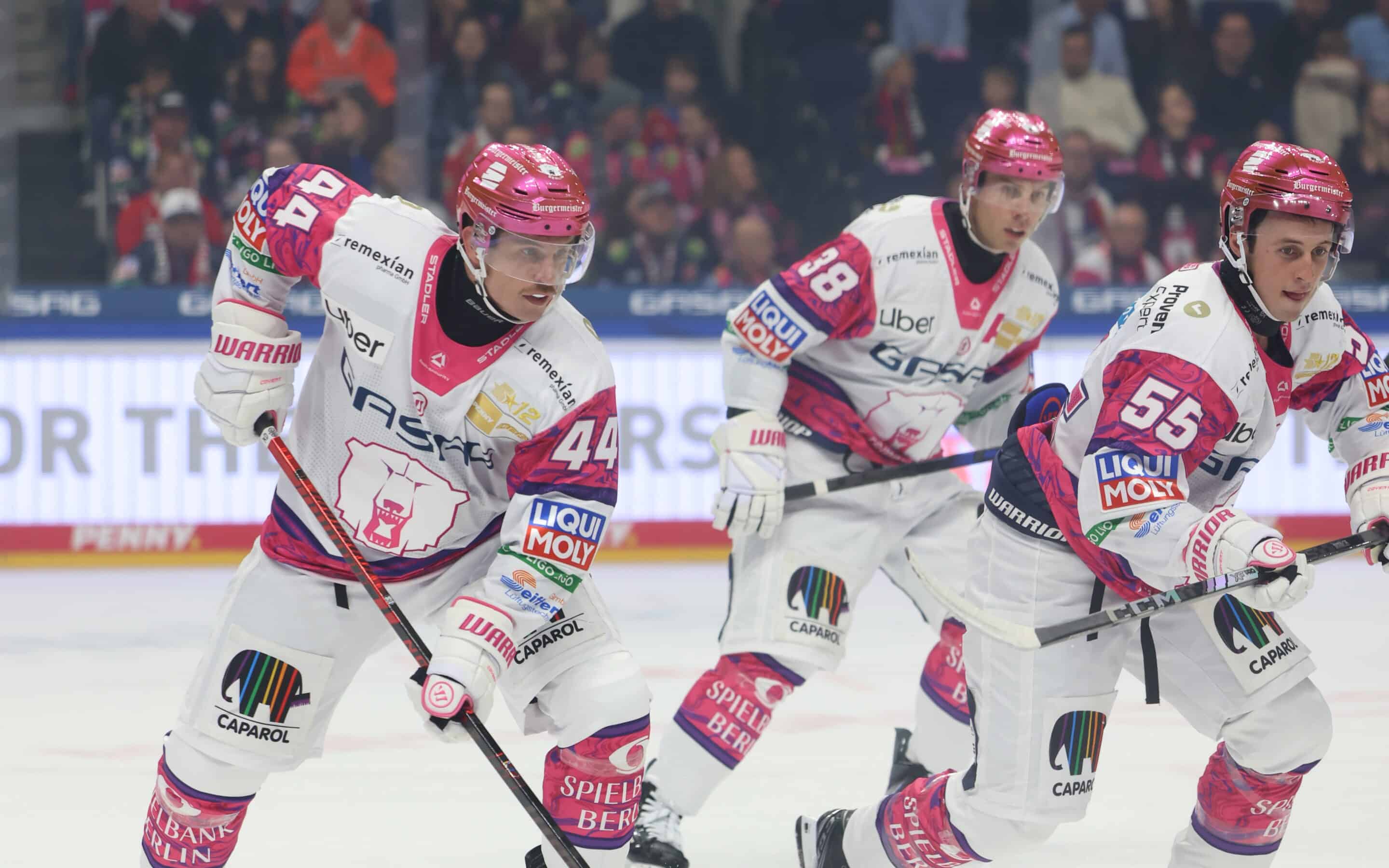 Eisbären Berlin Eisbären Berlin auf Angriff