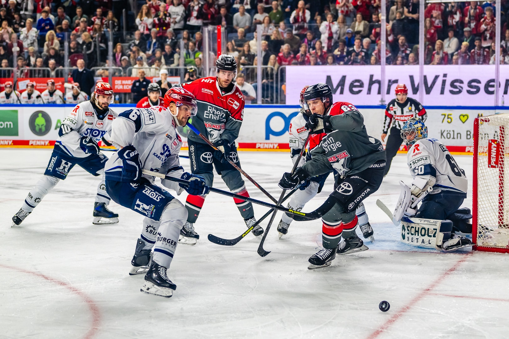 Kölner Haie vs Schwenninger Wild Wings